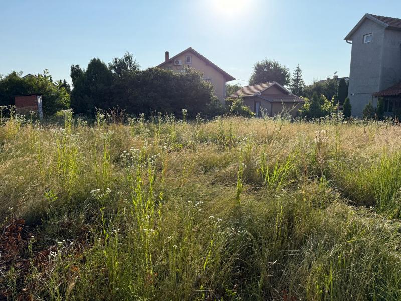 Ledine - ,Njegoševa-2