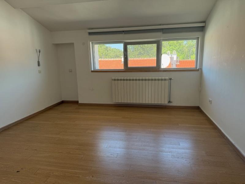 Banovo brdo-Košutnjak - ,Kneza Višeslava-10